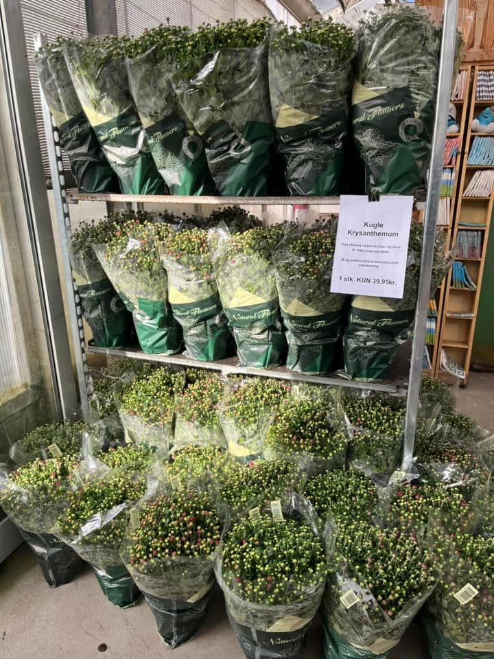 Se dagens updates fra Odder her