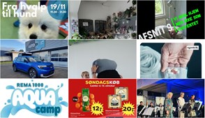 Nyt fra Herning Svømmehal, Cykelkram ApS, Scandic Regina og 7 andre