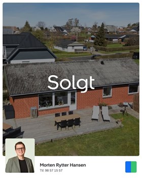Opslagsbillede