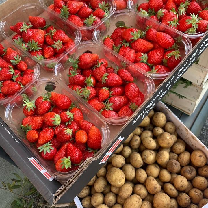 Fru Hansens Butik & Café præsenterer dagens friske danske råvarer