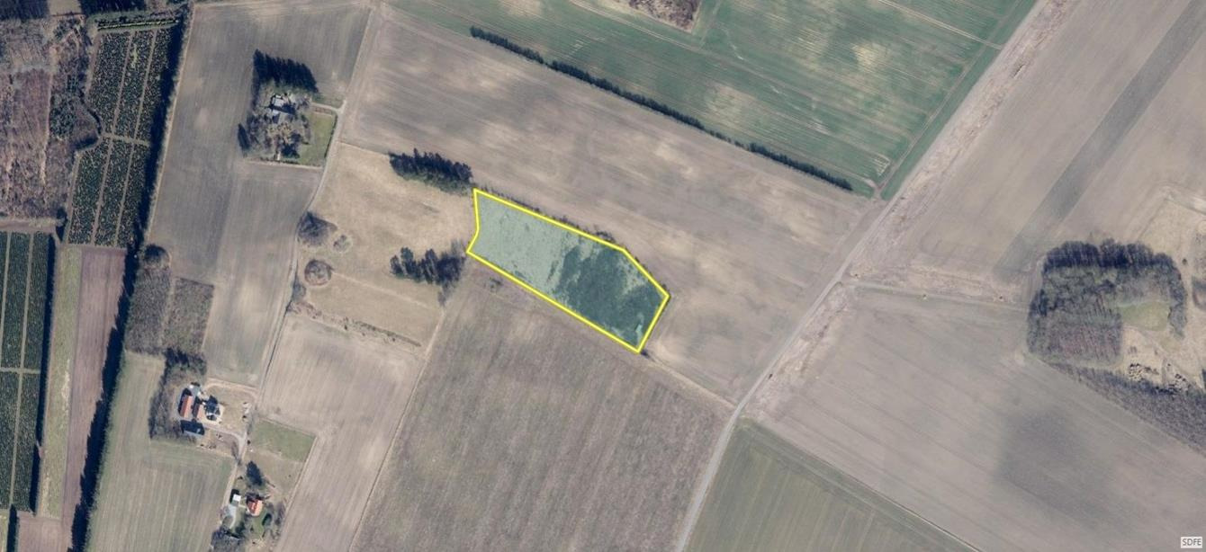 Det nyeste på Brønderslevs opslagstavle