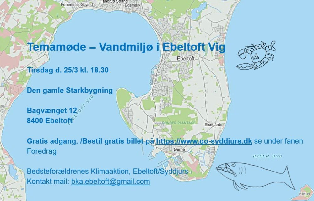 Temamøde: Vandmiljø i Ebeltoft Vig