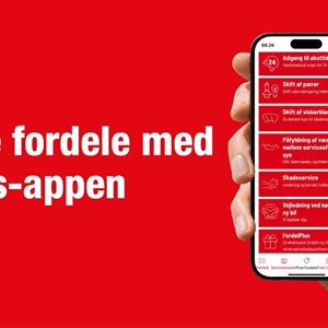 Opslagsbillede