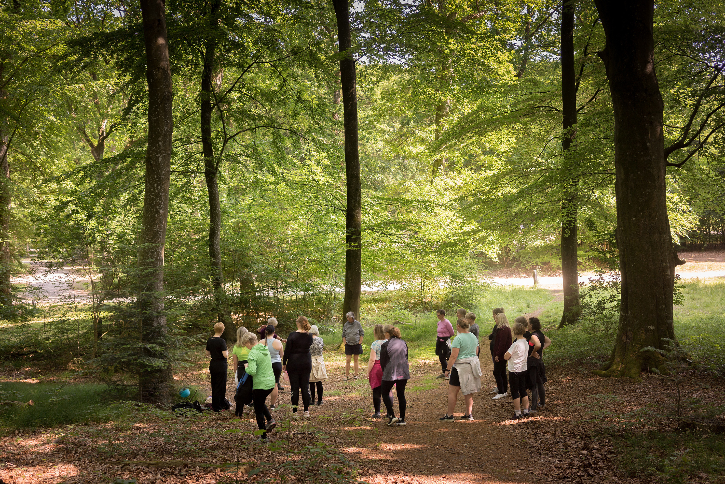 Aktiv med gigt: En dag i naturens tegn for seniorer