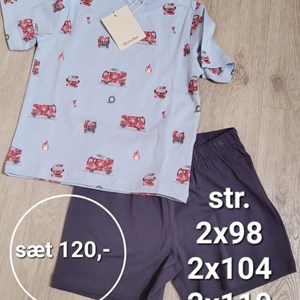 Opslagsbillede