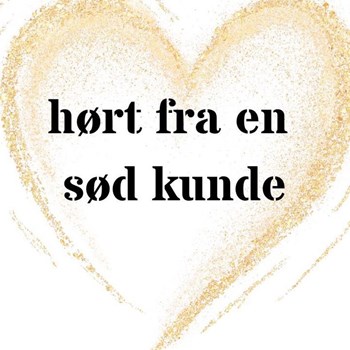 Opslagsbillede