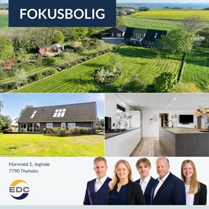 Opslagsbillede