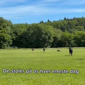 Opslagsbillede