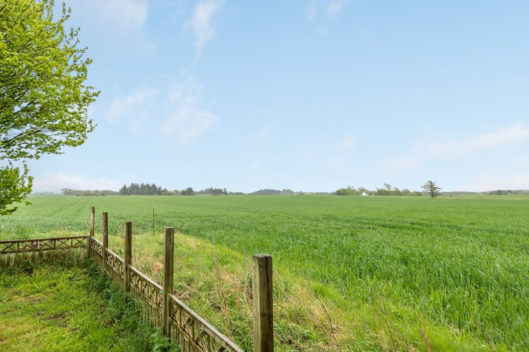 Hold trit med lokalområdet: Nyt fra Brønderslev