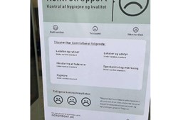 Flere pizzeriaer og kebabhuse chikaneret af nazister