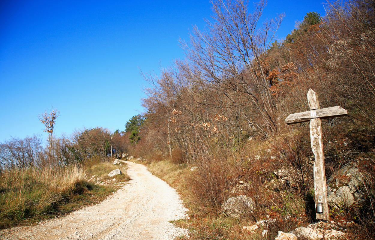 Samtale om pilgrimsfærd på Hammel Bibliotek