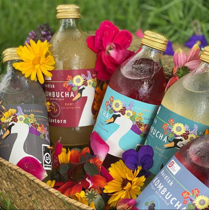 Flere i Vejle vælger kombucha i hverdagen