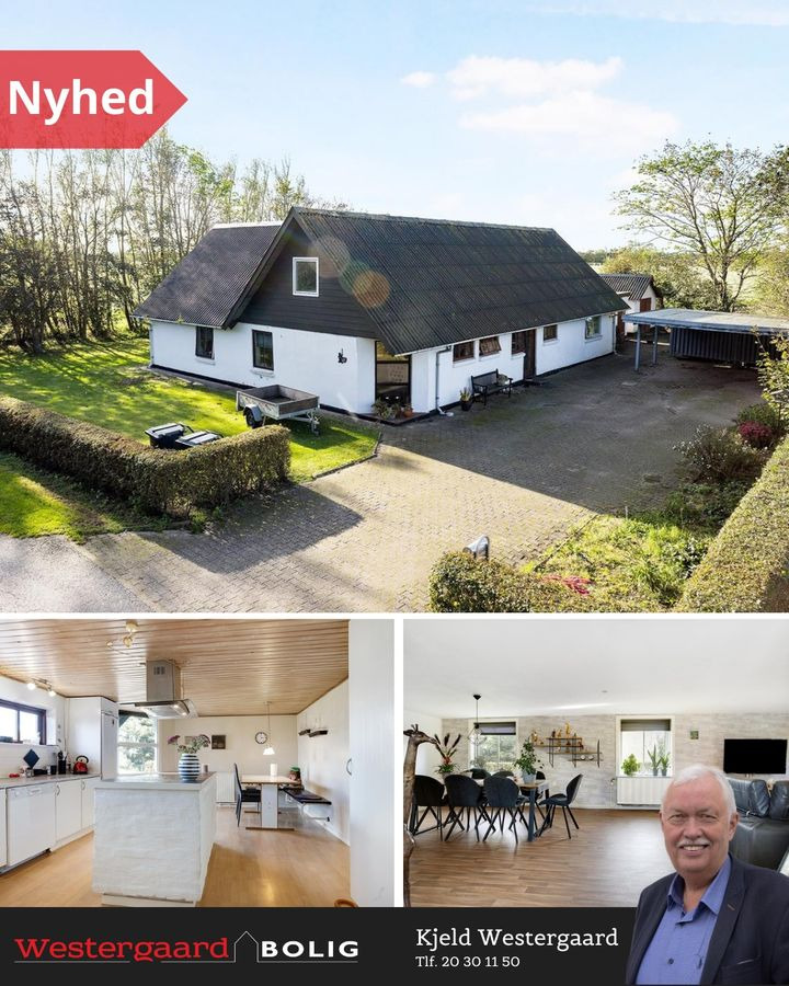 Hold trit med lokalområdet: Nyt fra Brønderslev