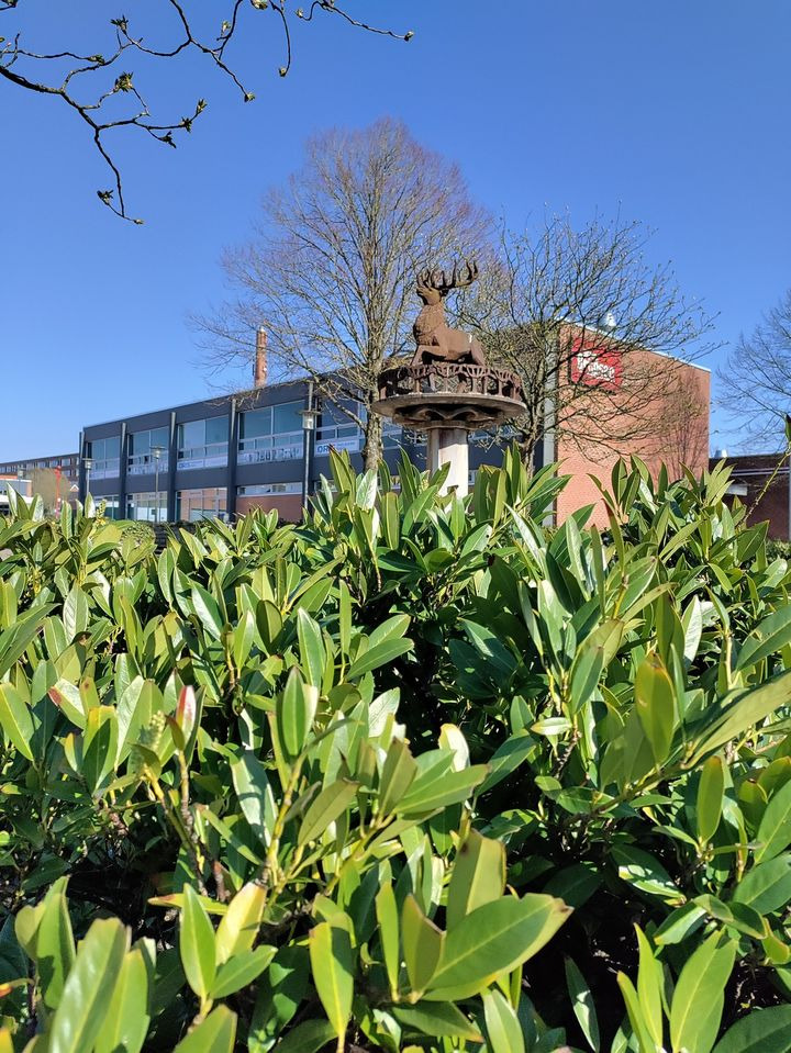 Opslagstavlen: Nyeste opdateringer fra Hammel