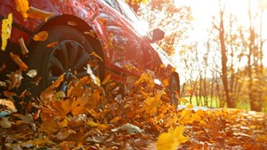 Farvergårdens Autoservice Aalborg gør din bil klar til efterårsvejret