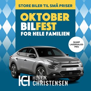 Opslagsbillede