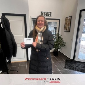 Opslagsbillede