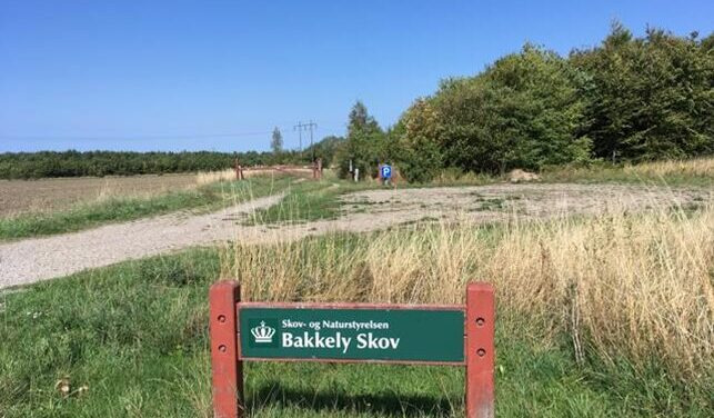 Oplev naturen: Vandretur over Vårby Ådal og Bakkelyskoven