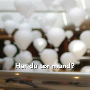 Opslagsbillede