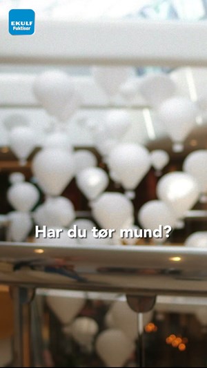 opslagsbillede