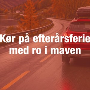 Opslagsbillede