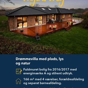 Opslagsbillede