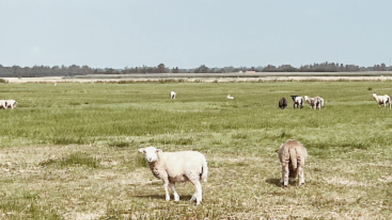 Kreativt påskemarked på Fanø Krogaard