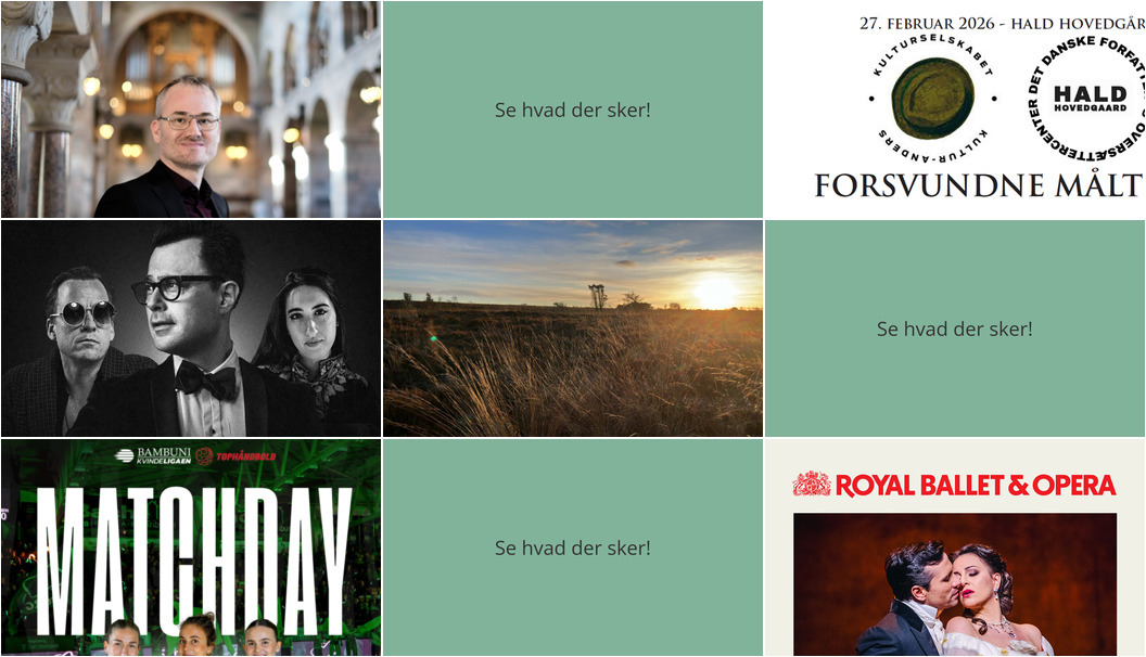 Oplev Viborg i weekenden: Fra orgelkoncerter til jazz og løb