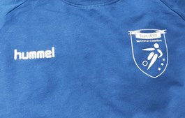 Team LB/VIF fightede sig til tre point i Fredericia
