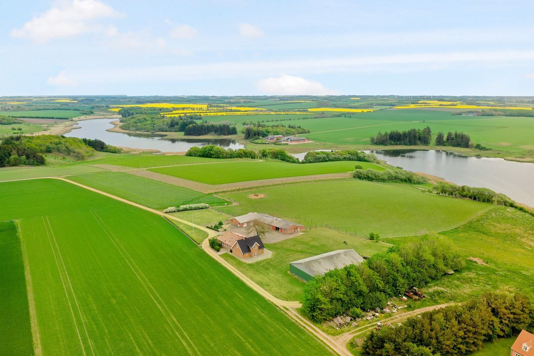 Hold trit med lokalområdet: Nyt fra Tjele