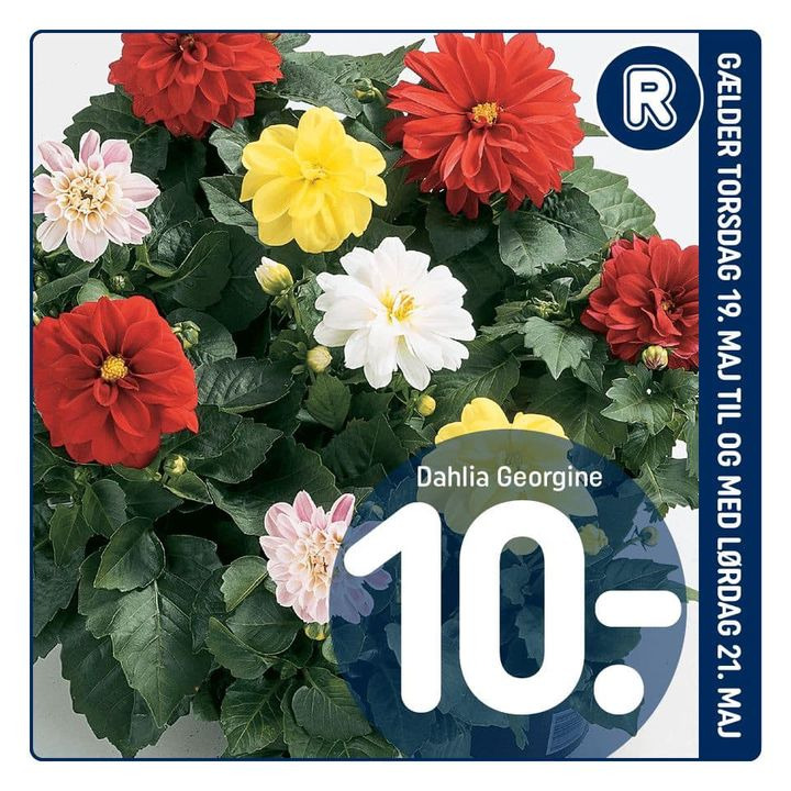 Opdatér dig her: Det nyeste fra Viby J