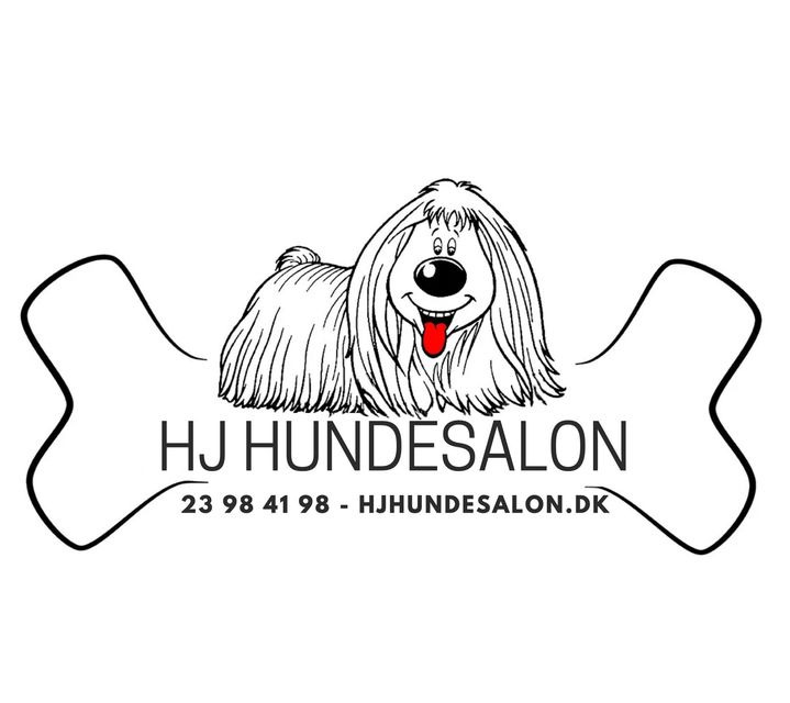 Opdatér dig her: Det nyeste fra Sæby