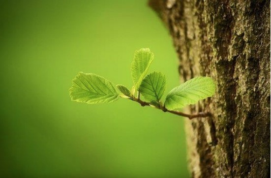 Forstå dit nervesystem: Kursus styrker robusthed i Odder