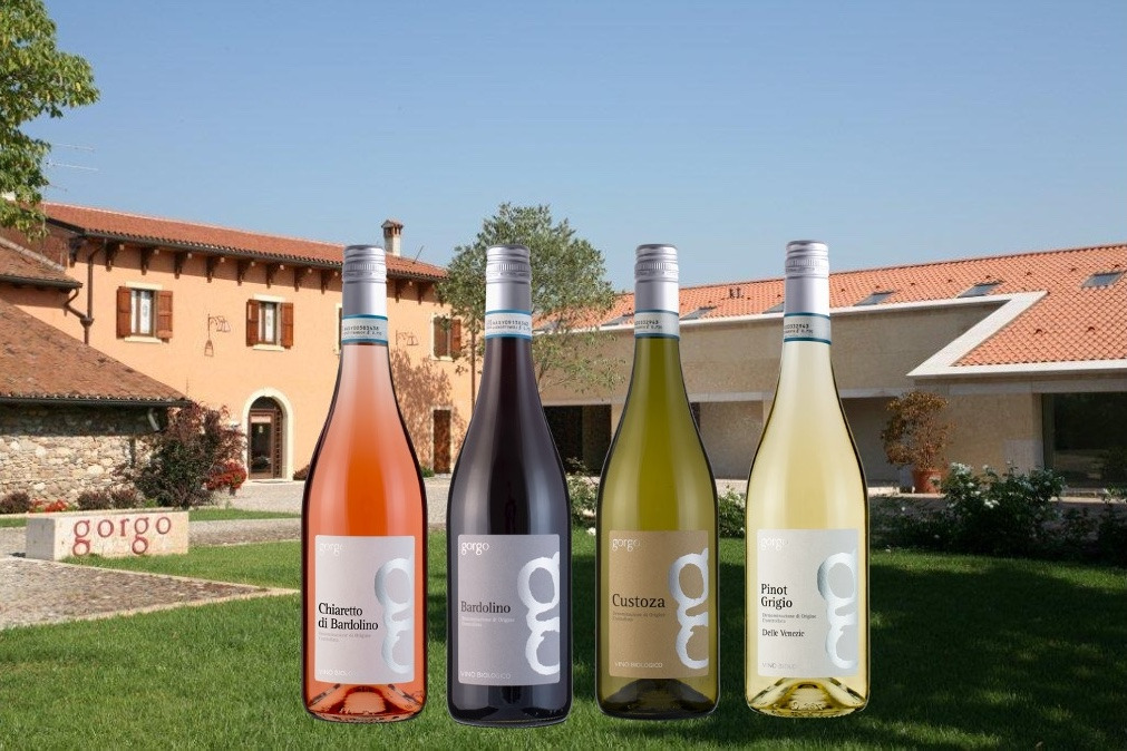 Lahvino Wine & Spirits introducerer Gorgo-økologiske vine fra Gardasøen