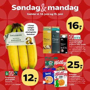 Opslagsbillede