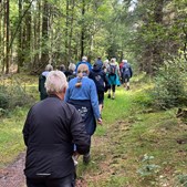 Oplev naturen på P Madsens Kjær Narkosakruten