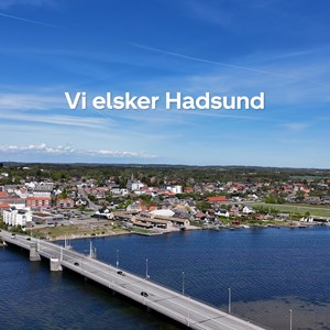 Opslagsbillede
