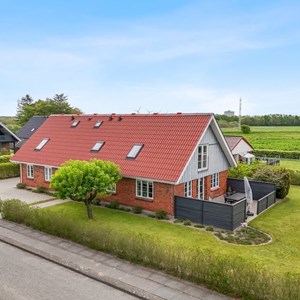 Opslagsbillede