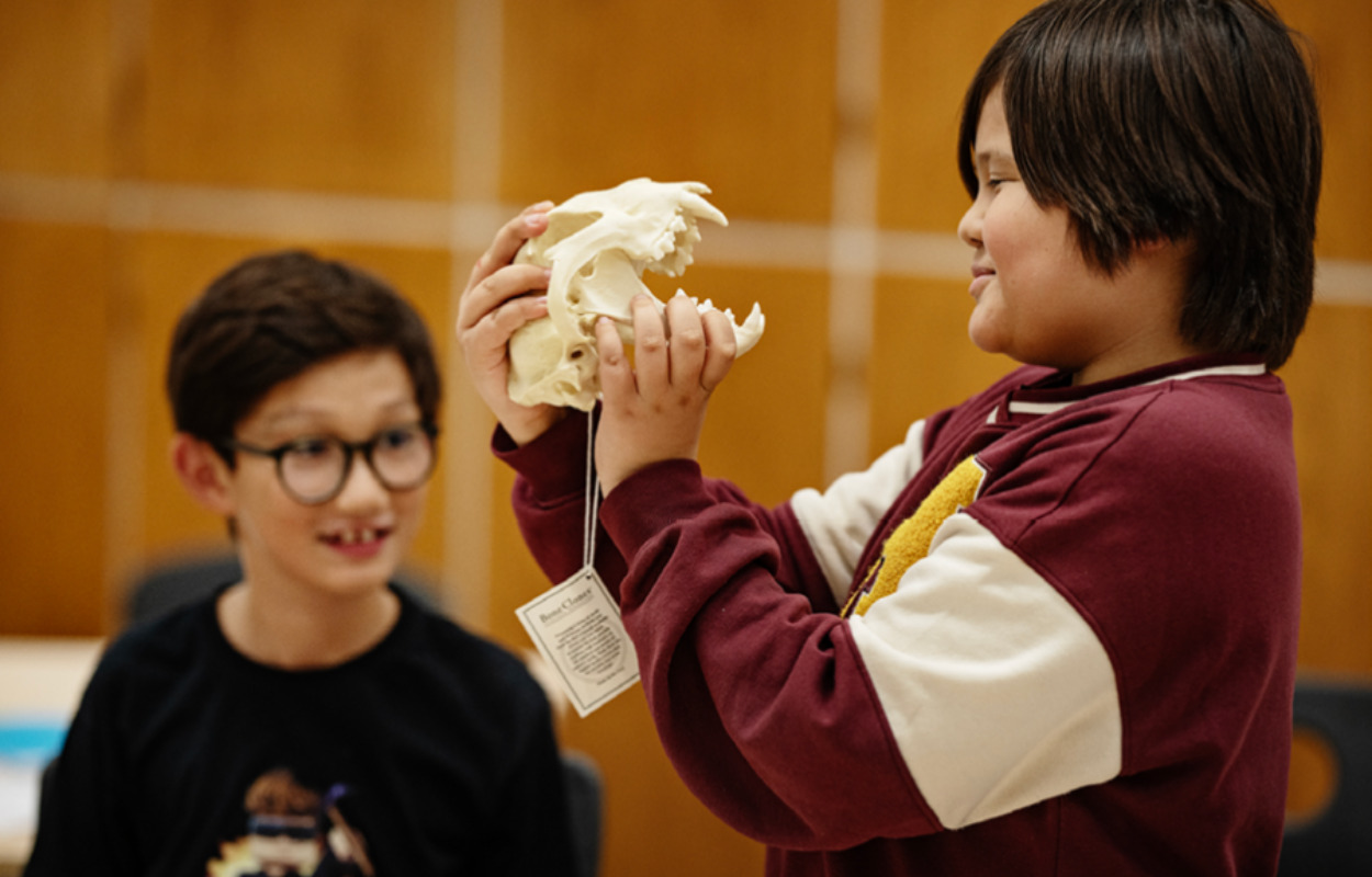 Bliv klogere på videnskaben på Holstebro Bibliotek 