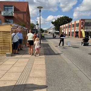 Opslagsbillede