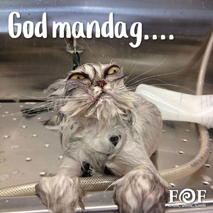 Hold dig ajour med dagens opdateringer fra Horsens