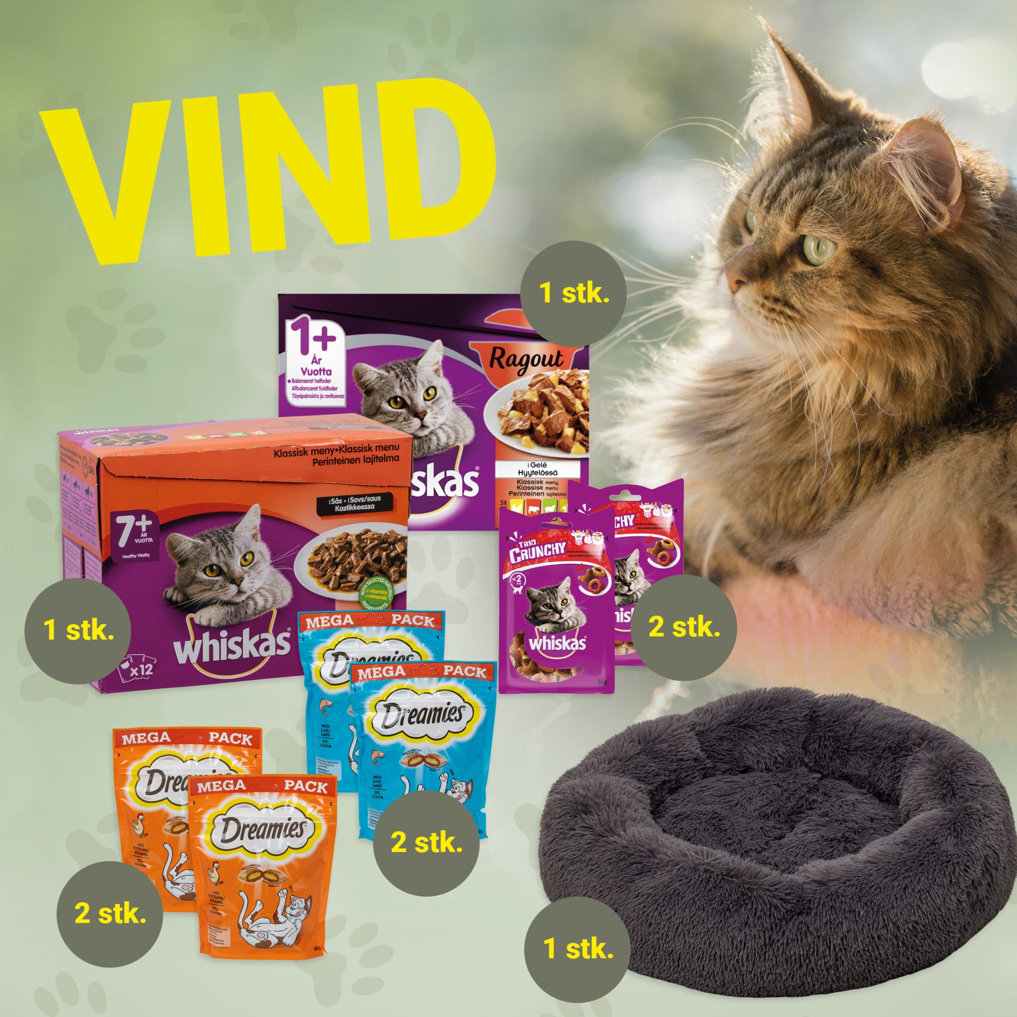 Opslagstavlen: Nyeste opdateringer fra Køge