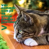 Dyrehospitalet Heden ApS advarer: juleplanter kan være giftige for kæledyr