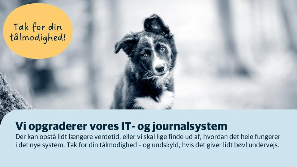 AniCura Dyrehospitalet City Syd skifter til nyt IT-system 21. september