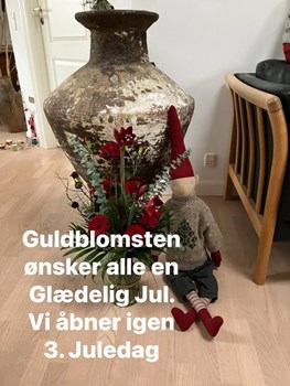 Opslagsbillede