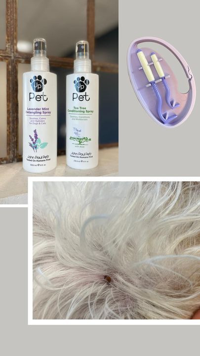 Opdatér dig her: Det nyeste fra Hjørring