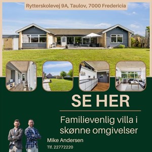 Opslagsbillede