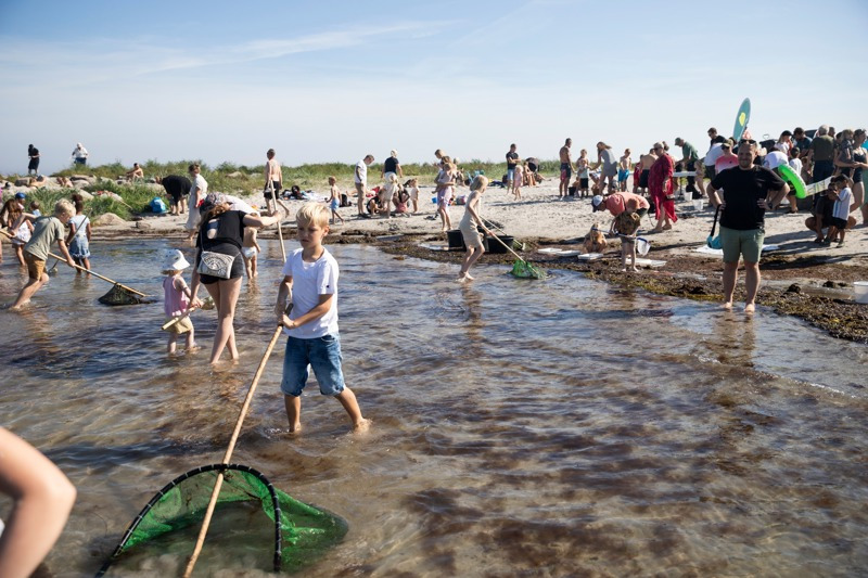 Havets Folkemøde ved Køge Bugt sætter fokus på havets tilstand med debatter, talks og folkelige aktiviteter