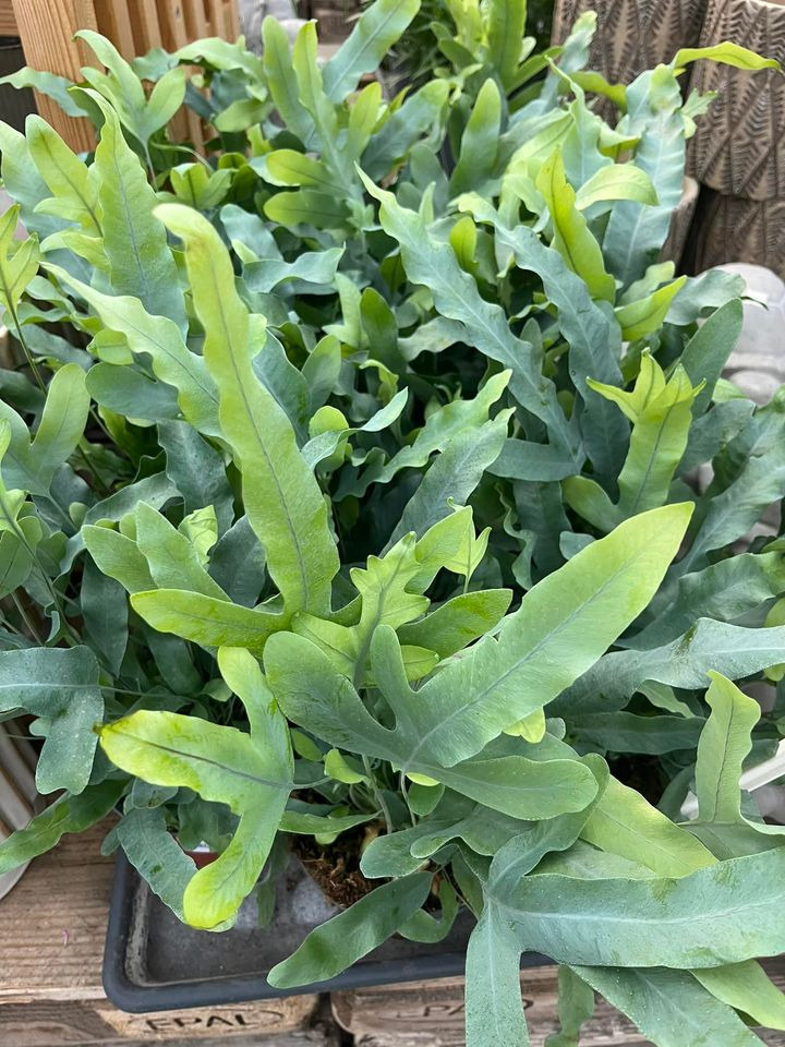 Nyt på opslagstavlen i Odder