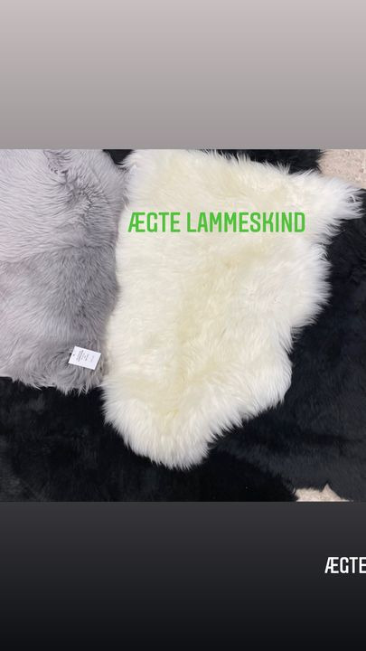 Hold dig ajour med dagens opdateringer fra Odder